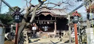 白山神社の本殿・本堂