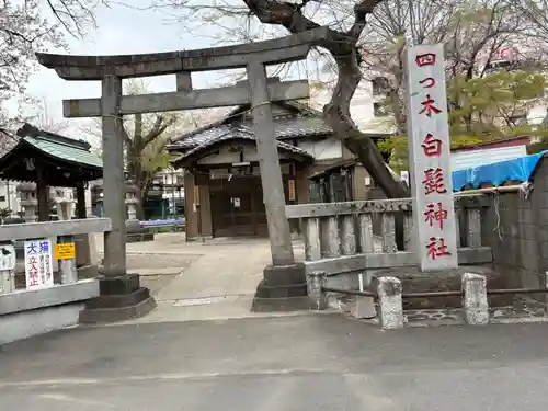 白髭神社(東京都)