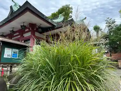 市谷亀岡八幡宮(東京都)