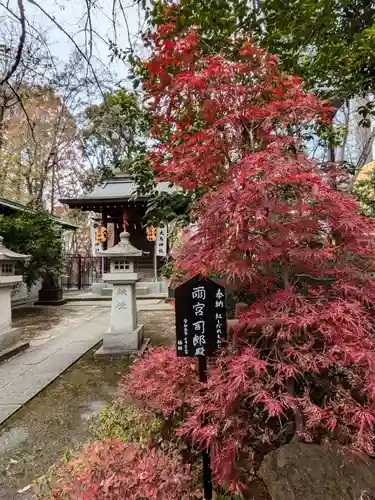 熊野神社(東京都)