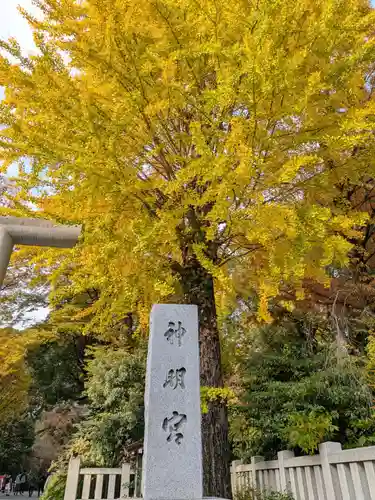 阿佐ヶ谷神明宮(東京都)