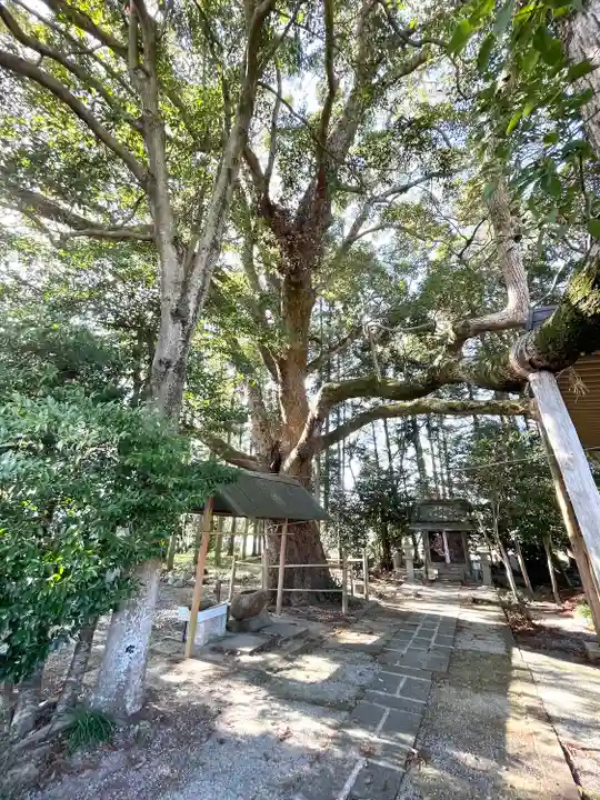 椎植神社(滋賀県)