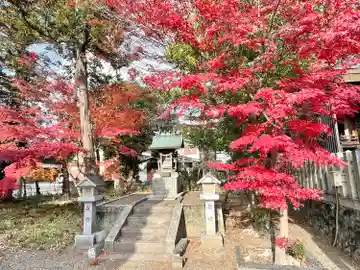河曲神社(滋賀県)
