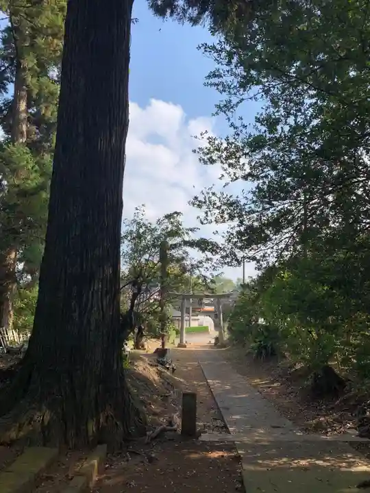 荒神宮(千葉県)