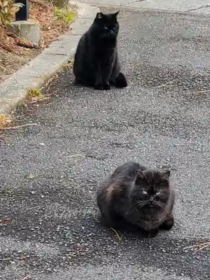 長林寺(山川長林寺)(栃木県)