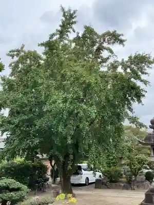 善勝寺(愛知県)