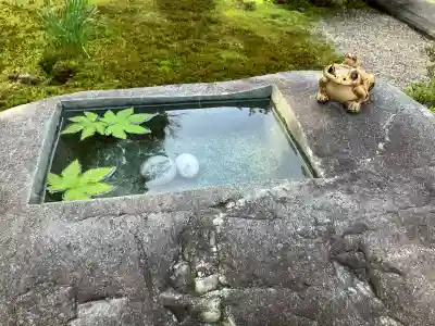 正覚院の{uncategorized: "未分類", other: "その他", undefined: "問題あり", building: "その他建物", grave: "お墓", sacred_gate: "鳥居", guardian: "狛犬", statue: "像", buddha: "仏像", history: "歴史", nature: "自然", garden: "庭園", animal: "動物", pagoda: "塔", temizu: "手水舎", mountain_gate: "山門・神門", sanctuary: "本殿・本堂", subordinate: "末社・摂社", art: "芸術", scenery: "景色", jizo: "地蔵", ema: "絵馬", goshuin: "御朱印", omikuji: "おみくじ", items: "授与品その他", amulet: "お守り", goshuincho: "御朱印帳", eats: "食事", festival: "お祭り", votive_dance: "神楽", shichigosan: "七五三参", wedding: "結婚式", experience: "体験その他", initially: "初詣", around: "周辺", anti_infection: "感染症対策"}