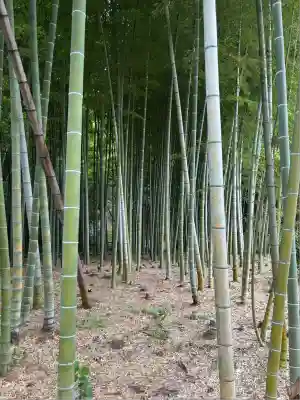 英勝寺(神奈川県)