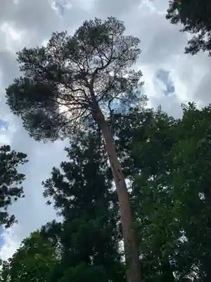 八雲神社(福島県)