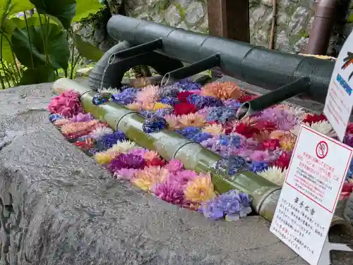 岡寺（龍蓋寺）(奈良県)
