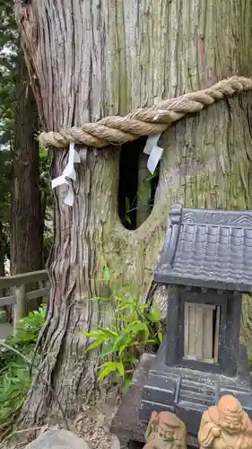 阿久津「田村神社」（郡山市阿久津町）旧社名：伊豆箱根三嶋三社(福島県)