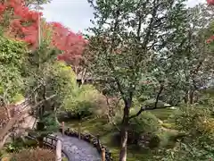 華厳寺（鈴虫寺）の庭園