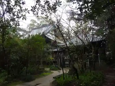 浄瑠璃寺(愛媛県)