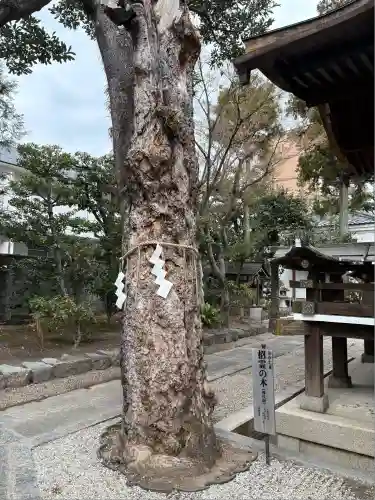 大将軍八神社(京都府)