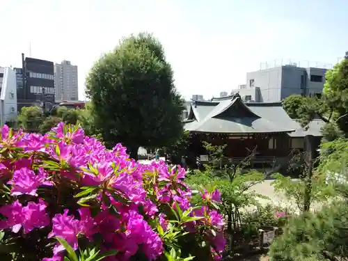 千駄ヶ谷冨士浅間神社の景色
