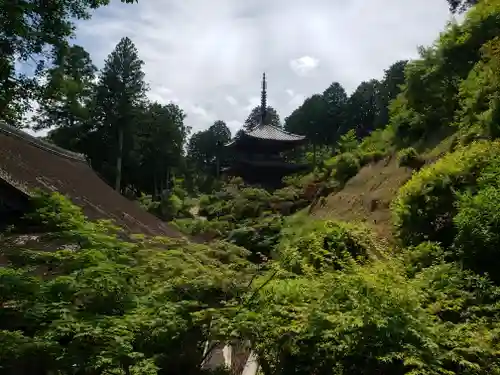 常樂寺の景色