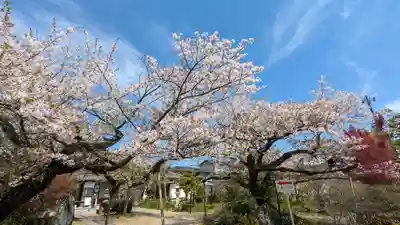 橋寺 放生院(京都府)