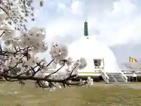 妙法寺(福井県)