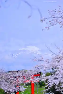 富士山本宮浅間大社(静岡県)