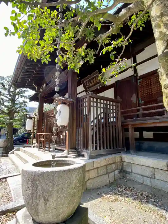 天性寺の本殿・本堂