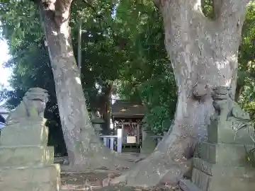 王子神社(千葉県)