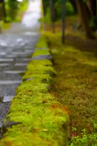 尻岸内八幡神社の自然