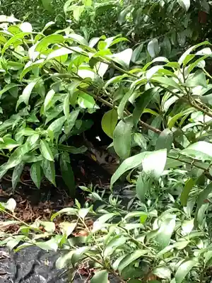 三輪神社のその他建物