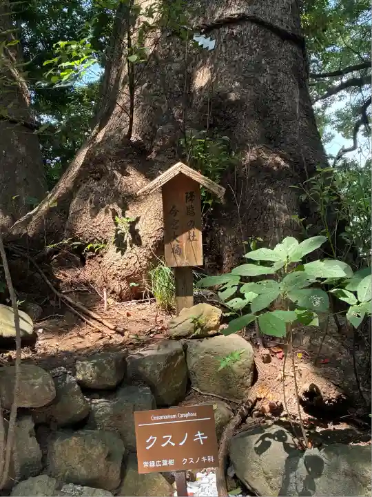 今宮神社(静岡県)