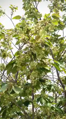 松應寺(愛知県)