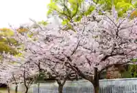 三津厳島神社の自然