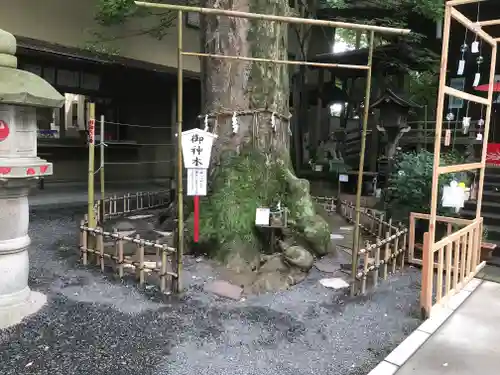 小芝八幡宮の自然
