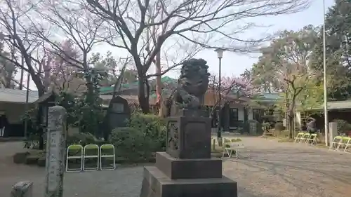 代々木八幡宮の狛犬