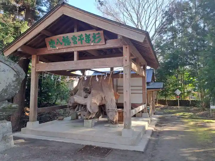 雲八幡宮(大分県)