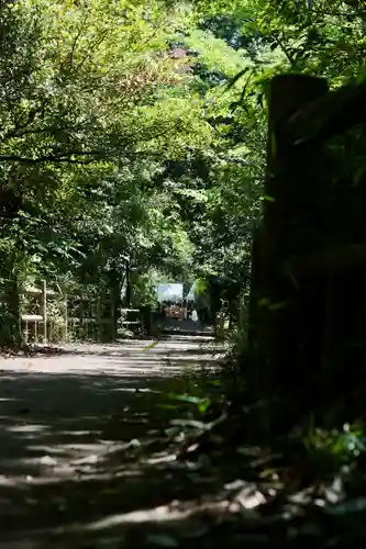 氷川女體神社(埼玉県)