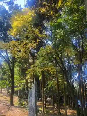 三蔵神社(茨城県)
