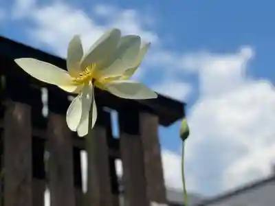 恵林寺(山梨県)