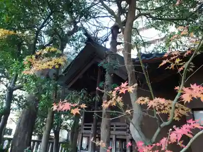 古町神明宮の本殿・本堂