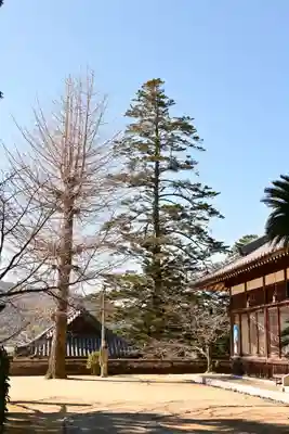 満願寺(愛媛県)