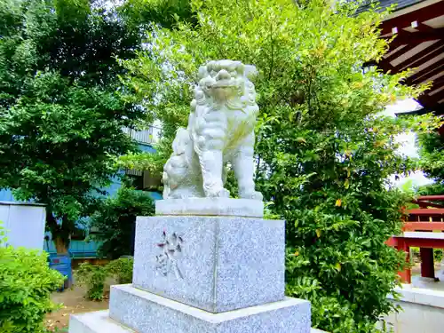柴又八幡神社の狛犬