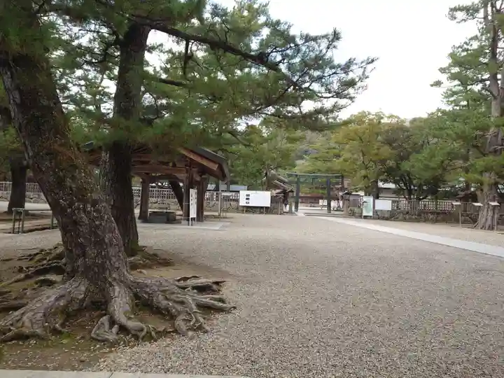 出雲大社(島根県)