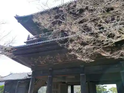 南禅寺の山門・神門