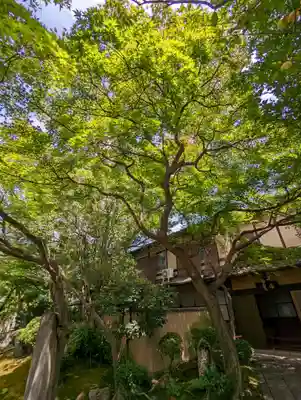 法観寺(京都府)