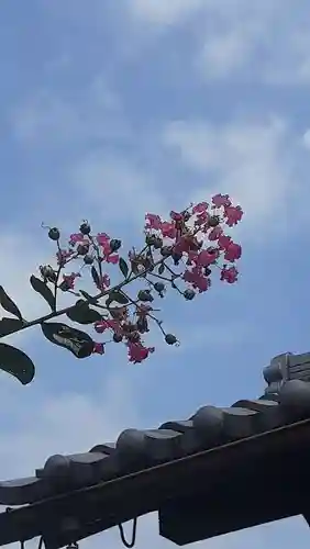 西方山極楽寺(岐阜県)