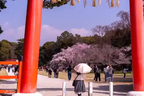 賀茂別雷神社（上賀茂神社）(京都府)
