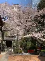 熊野神社の自然