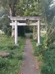 浅間神社(埼玉県)