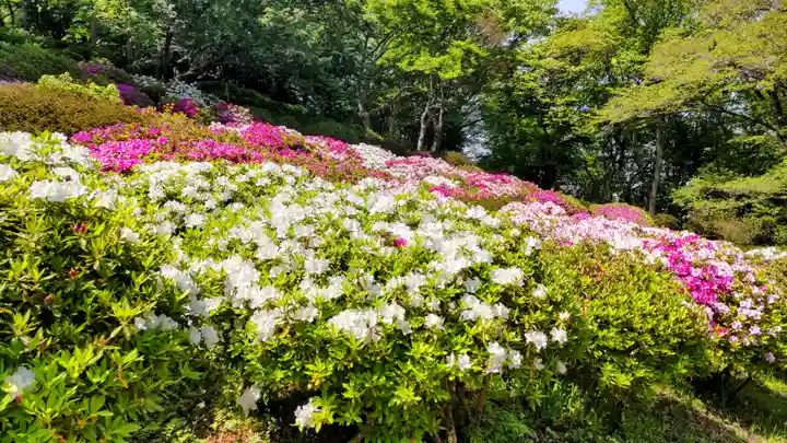 吾妻神社(神奈川県)