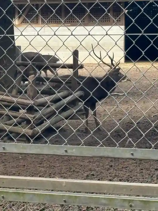 鹿島神宮(茨城県)