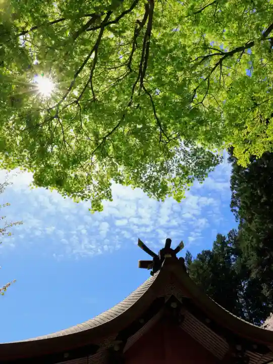 金櫻神社の{uncategorized: "未分類", other: "その他", undefined: "問題あり", building: "その他建物", grave: "お墓", sacred_gate: "鳥居", guardian: "狛犬", statue: "像", buddha: "仏像", history: "歴史", nature: "自然", garden: "庭園", animal: "動物", pagoda: "塔", temizu: "手水舎", mountain_gate: "山門・神門", sanctuary: "本殿・本堂", subordinate: "末社・摂社", art: "芸術", scenery: "景色", jizo: "地蔵", ema: "絵馬", goshuin: "御朱印", omikuji: "おみくじ", items: "授与品その他", amulet: "お守り", goshuincho: "御朱印帳", eats: "食事", festival: "お祭り", votive_dance: "神楽", shichigosan: "七五三参", wedding: "結婚式", experience: "体験その他", initially: "初詣", around: "周辺", anti_infection: "感染症対策"}