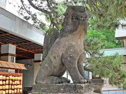 白石神社の狛犬